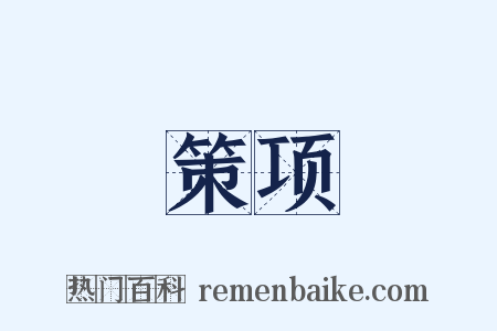策项是什么意思的图片